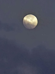 20251106 062615