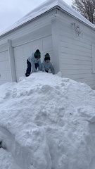 IMG 3928